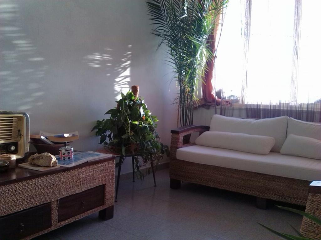 B&B Su Rizolu Sagama Ngoại thất bức ảnh